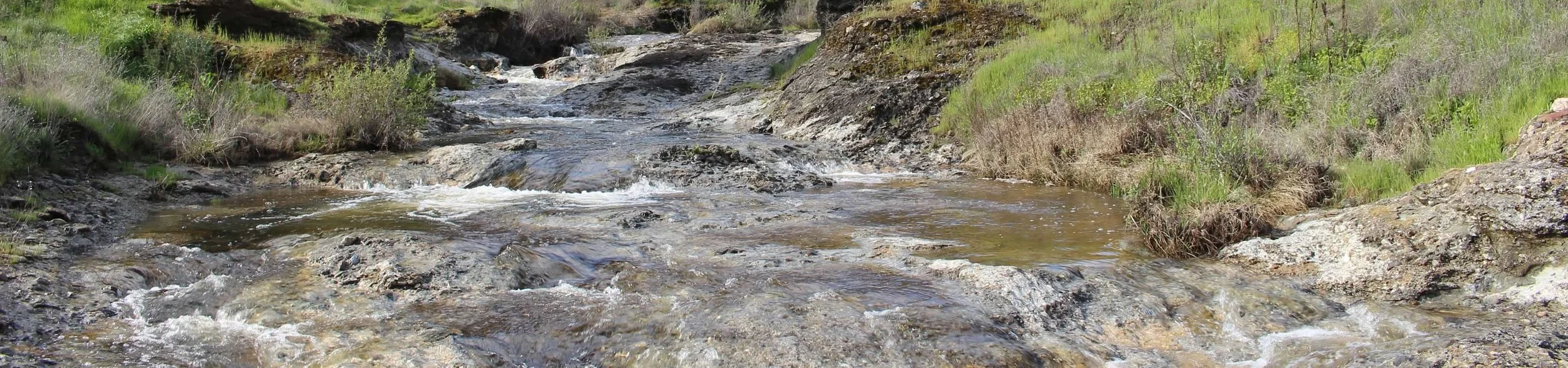 Shallow water flowing over a rocky creek bed between green banks